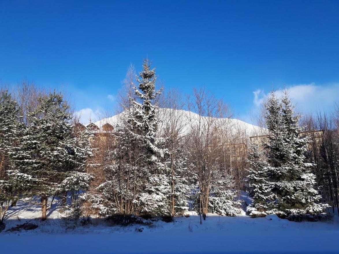 Apartman Mariana Wysokie Tatry Zewnętrze zdjęcie