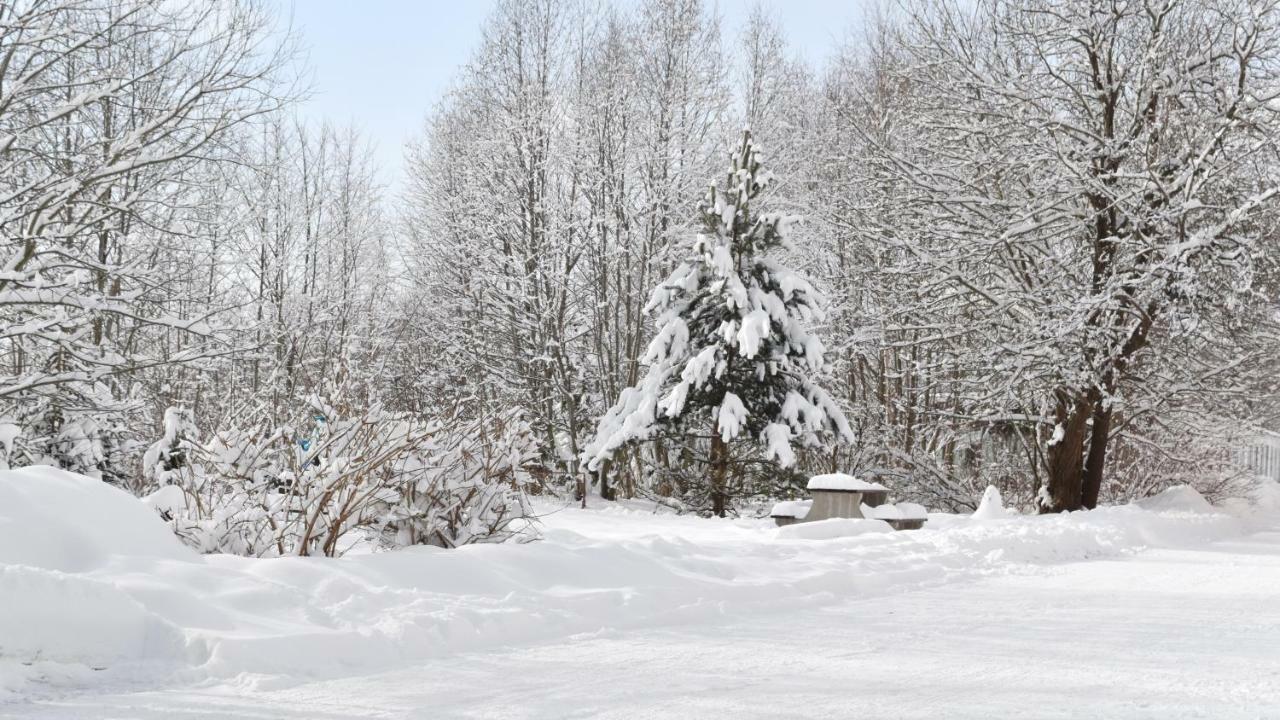 Apartman Mariana Wysokie Tatry Zewnętrze zdjęcie